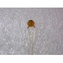 C10P0050