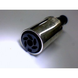 SP25351