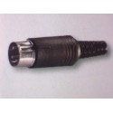 SP25600